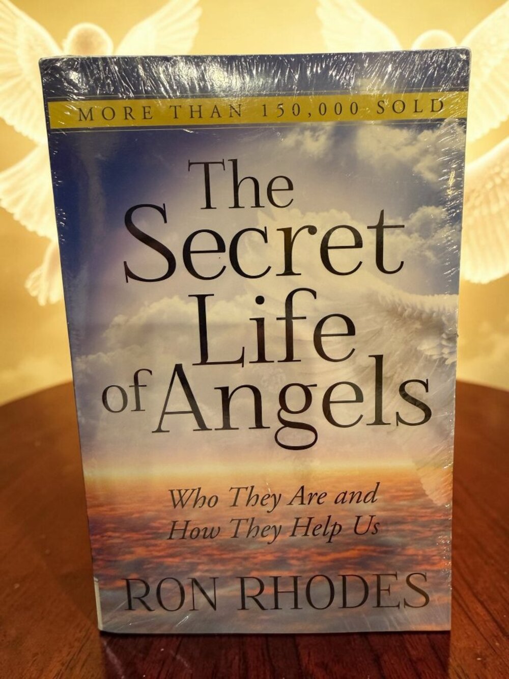 The Secret Life of Angels Soft Cover Book - NEW